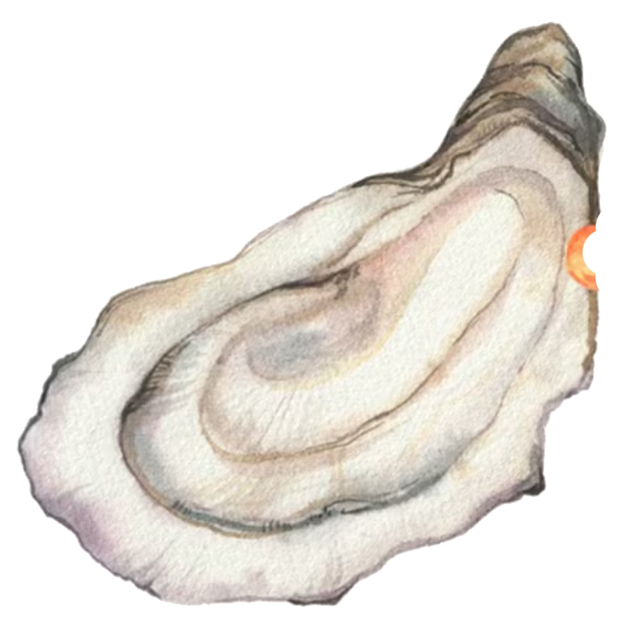 shell 3